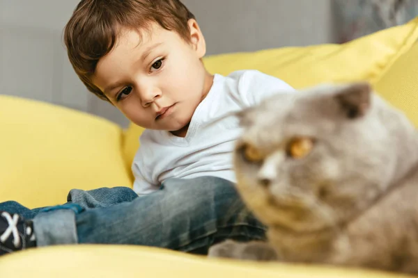 Селективное внимание маленького мальчика, смотрящего на кота — стоковое фото