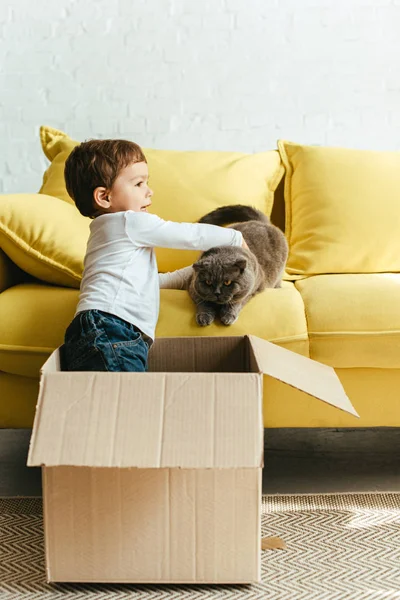 Menino bonito brincando com gato em caixa de papelão em casa — Fotografia de Stock