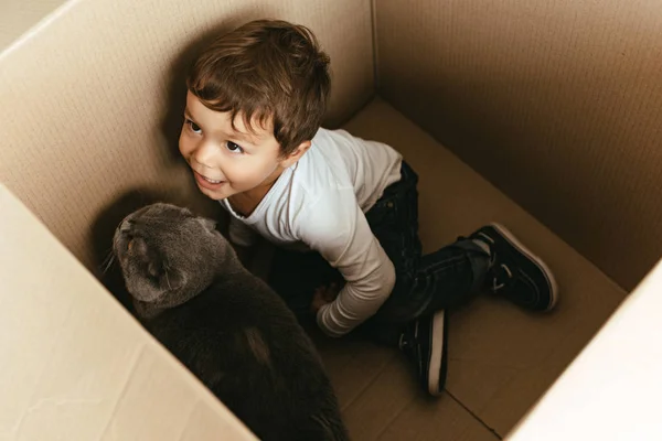 Menino brincando com gato em caixa de papelão — Fotografia de Stock