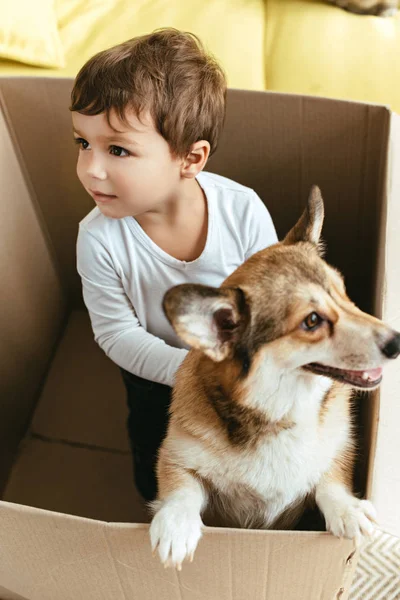 Kleines Kind spielt mit walisischem Corgi-Hund in Karton — Stockfoto