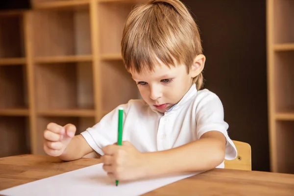 Entzückende Jungenzeichnung mit grünem Filzstift im Kindergarten — Stockfoto