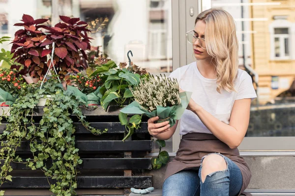 Attractive florist sitting on stairs of flower shop and looking at potted plant — Stock Photo