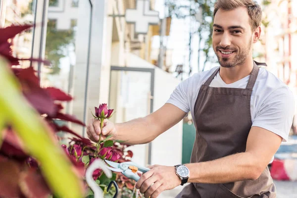 Sourire beau fleuriste coupe rose bordeaux avec taille près de magasin de fleurs et en regardant la caméra — Photo de stock