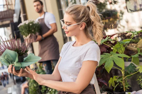 Attrayant fleuriste vérifier les fleurs de salvia en pot près de magasin de fleurs — Photo de stock