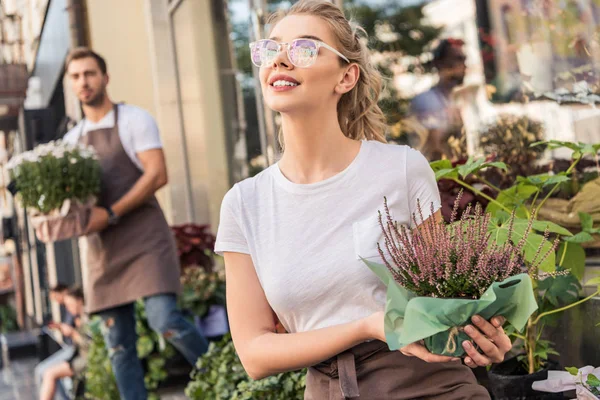 Florista atraente segurando flores salvia potted perto de loja de flores e olhando para cima — Fotografia de Stock