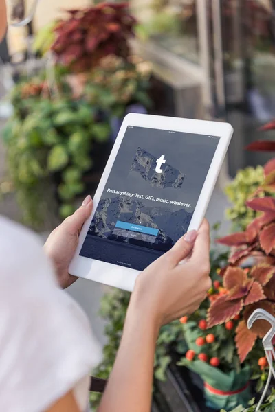 Обрезанное изображение флориста с помощью планшета с загруженной страницы tumblr возле цветочного магазина — стоковое фото