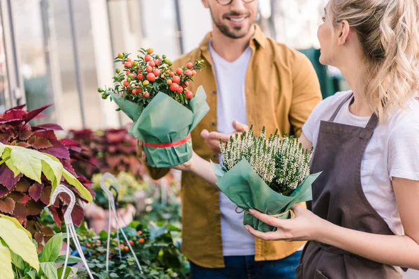 Imagen recortada de floristería ayudando al cliente a elegir una planta en maceta en la tienda de flores - foto de stock