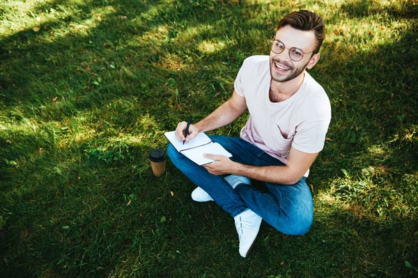 Vista de ángulo alto de hombre guapo sonriente haciendo notas sobre hierba verde en el parque y mirando a la cámara - foto de stock