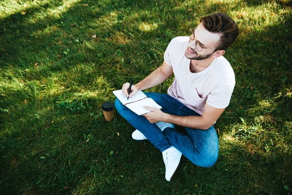 Vista de alto ângulo de homem bonito fazendo anotações na grama verde no parque — Fotografia de Stock