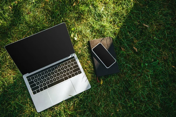 Draufsicht auf Geräte mit leeren Bildschirmen auf grünem Gras im Park — Stockfoto