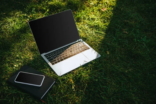 Smartphone and laptop with blank screens on green grass in park — Stock Photo