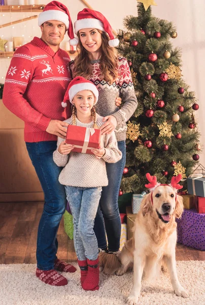 Family in santa hats with dog in deer horns standing near christmas tree with gifts — Stock Photo