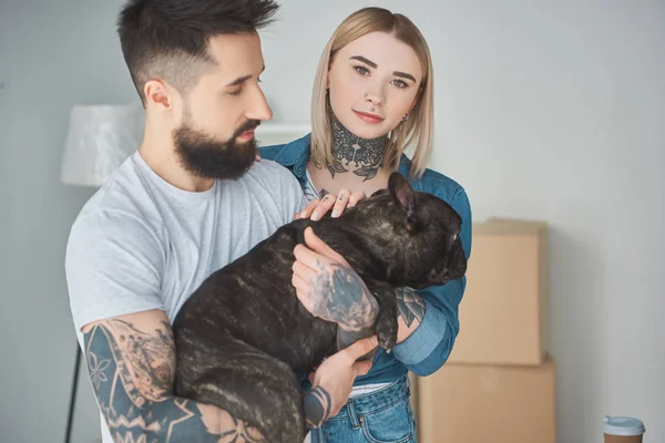 Barbudo hombre celebración francés bulldog y hermosa chica mirando cámara en nuevo casa - foto de stock