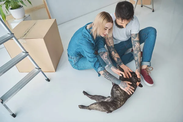 Visão de alto ângulo de jovem casal brincando com buldogue francês na nova casa — Fotografia de Stock