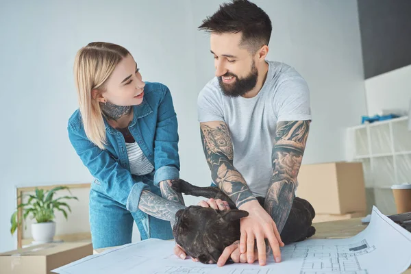 Tattooed couple playing with french bulldog on blueprint at new home — Stock Photo