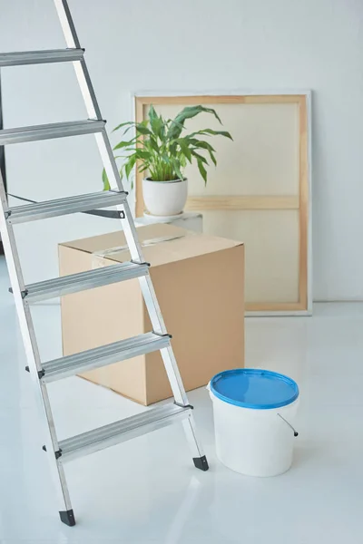 Vista de perto da escada, balde de plástico na pintura, planta de sala e caixa de papelão em nova casa — Fotografia de Stock