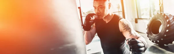 Young sportsman wearing boxing gloves and punching boxing bag at gym in sunlight — Stock Photo