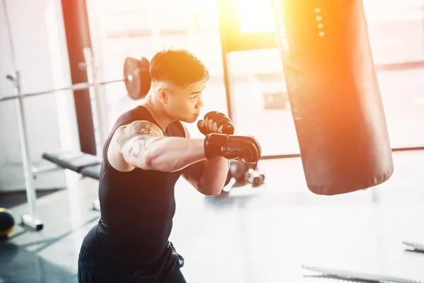Concentrated sportsman wearing boxing gloves and punching boxing bagat gym in sunlight — Stock Photo