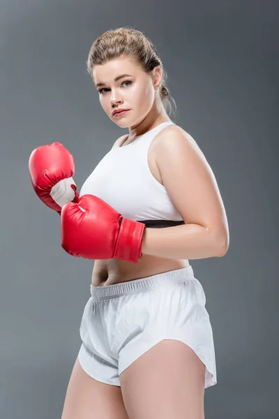 Tamanho jovem mais mulher em roupas esportivas e luvas de boxe olhando para a câmera isolada em cinza — Fotografia de Stock