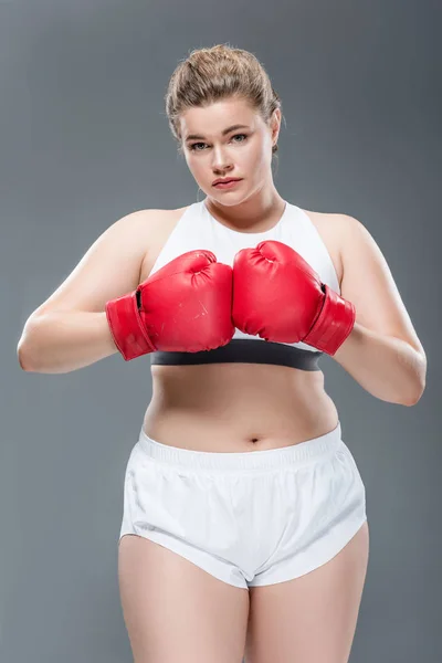 Schöne junge übergewichtige Frau in Sportbekleidung und Boxhandschuhen schaut vereinzelt in die Kamera auf grau — Stockfoto