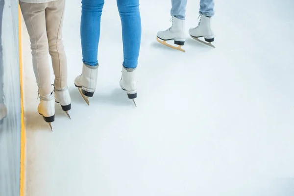 Vista parziale della famiglia sui pattini in piedi sulla pista di pattinaggio — Foto stock