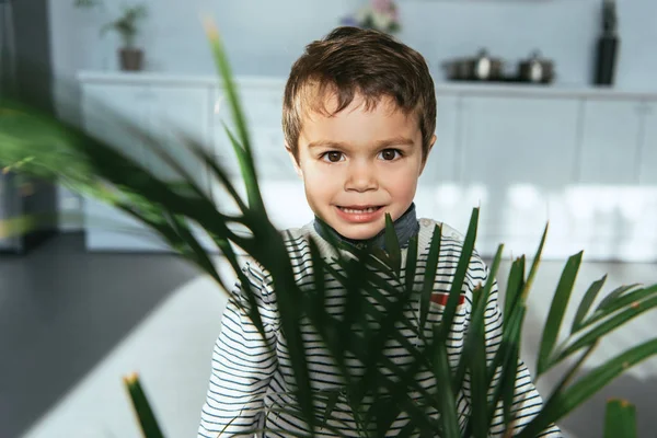 Selective focus of adorable little boy looking at camera near green houseplant at home — Stock Photo