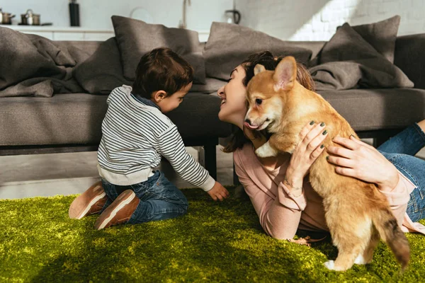 Mujer y su pequeño hijo jugando adorable galés corgi pembroke en el suelo en casa - foto de stock