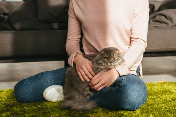 Visão parcial de adorável britânico longhair gato sentado com mulher no chão em casa — Fotografia de Stock