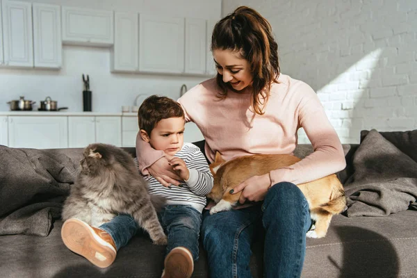 Selective focus of woman and her son sitting on sofa with cat and dog in living room at home — Stock Photo