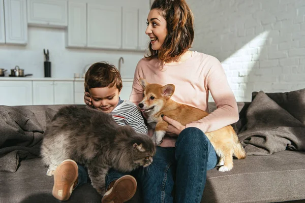 Alegre madre e hijo sentado en sofá con gato y perro en la sala de estar en casa - foto de stock