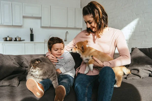 Smiling mother and son sitting on sofa with cat and dog in living room at home — Stock Photo