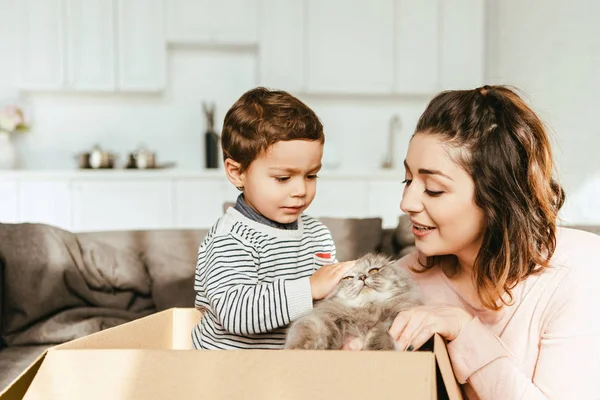 Mutter und kleiner Junge streicheln entzückende britische Langhaarkatze zu Hause — Stockfoto