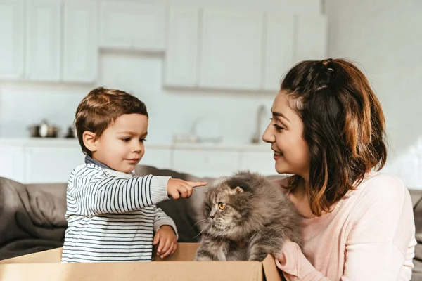 Pequeño niño apuntando con el dedo a británico longhair gato en madre manos - foto de stock