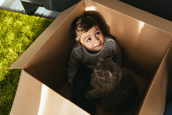 Vue grand angle du petit garçon heureux et du chat à poil long britannique dans une boîte en carton à la maison — Photo de stock