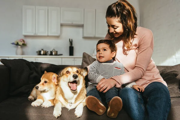 Feliz madre e hijo sentado en sofá con perros corgi galeses en casa - foto de stock