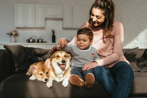 Child petting welsh corgi dog while his mother sitting near on sofa at home — Stock Photo
