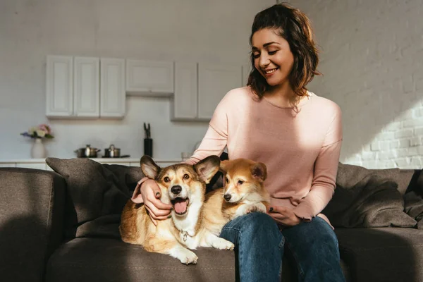 Hermosa mujer sonriente sentada en el sofá con perros corgi galeses en casa - foto de stock