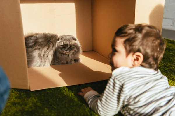 Selective focus of little smiling boy laying near british longhair cat in cardboard box at home — Stock Photo