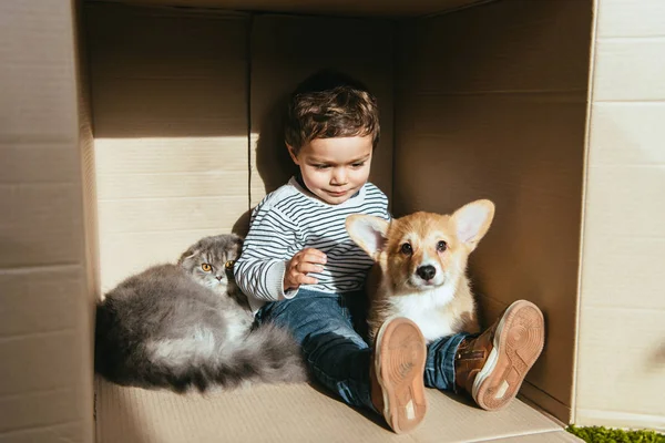 Kleiner Junge mit süßer Katze und Hund sitzt im Pappkarton unter Sonnenlicht — Stockfoto