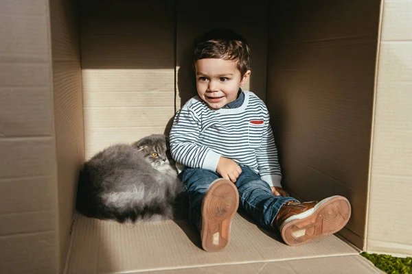 Улыбающийся мальчик сидит с британским длинноволосым котом в картонной коробке — стоковое фото