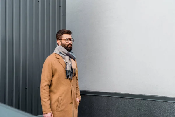 Uomo barbuto in piedi in cappotto con mano in tasca — Foto stock