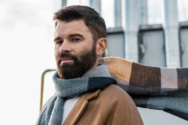 Close up of bearded businessman in scarf and coat — Stock Photo