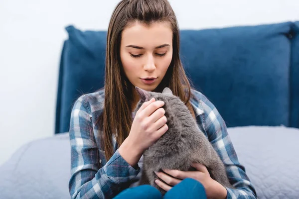 Schöne junge Frau streichelt niedliche graue Katze im Schlafzimmer — Stockfoto