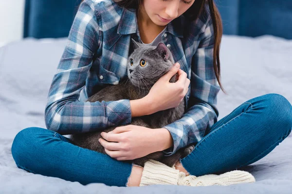 Tiro recortado de mujer joven sentada en la cama con gato gris adorable - foto de stock