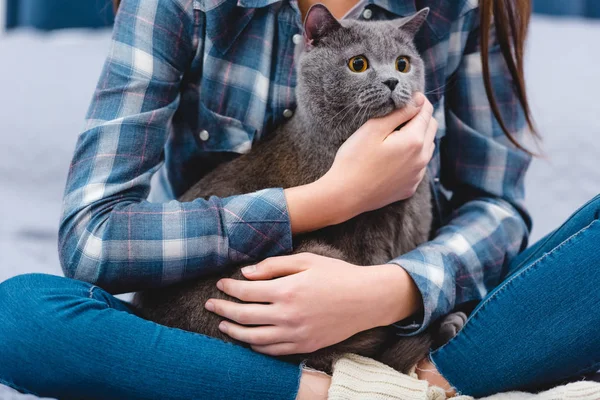 Tiro recortado de mujer joven sentada en la cama y abrazando gato gris adorable - foto de stock