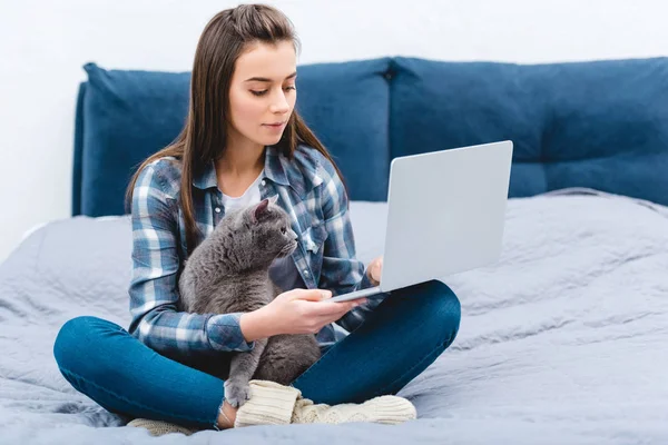 Junge Frau mit Laptop im Bett mit süßer britischer Kurzhaarkatze — Stockfoto