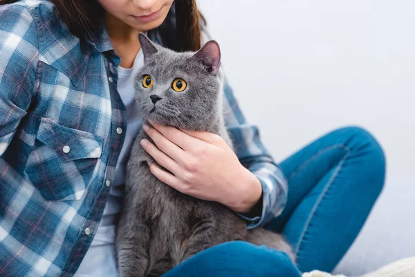 Tiro recortado de mujer joven sentada con adorable gato gris - foto de stock