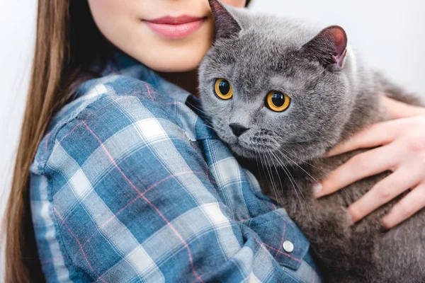 Corte tiro de jovem segurando bela cinza britânico shorthair gato — Fotografia de Stock