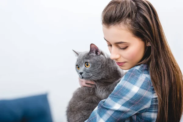 Atraente jovem mulher segurando adorável britânico shorthair gato — Fotografia de Stock