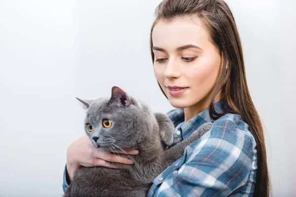 Bella giovane donna in possesso adorabile britannico shorthair gatto — Foto stock